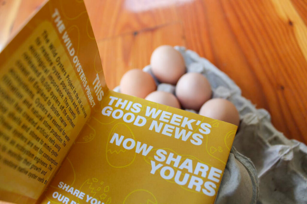 Sunny Side Up x Eggbert good news zine project